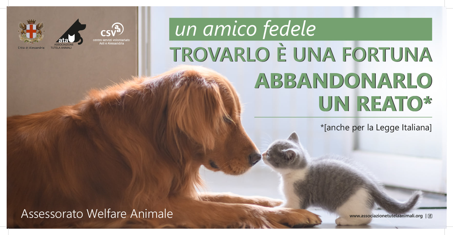 Alessandria, resoconto 2021 Ufficio Welfare Animale