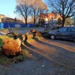 Alessandria: albero cade a pochi centimetri dalle auto parcheggiate in via Pochettini