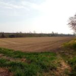 Agroalimentare in ginocchio: preoccupazioni anche sulla ripartizione dei fondi da Roma