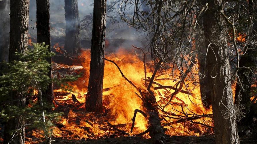Liguria: dal 10 ottobre stop allo stato di grave pericolosità per gli incendi boschivi