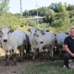 "Stalle aperte" in provincia di Alessandria nel giorno di Pasquetta