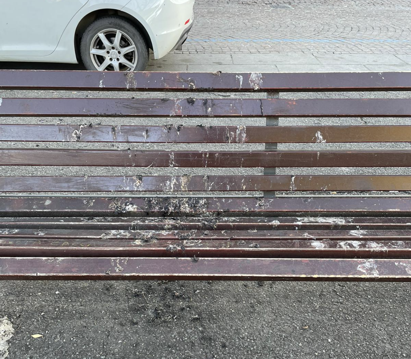 "Panchine sporche in piazza della Libertà ad Alessandria"