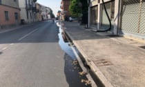 Alessandria, via Casalcermelli chiusa per problema a tubatura acqua