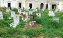 "Il cimitero di Alessandria in stato di abbandono"