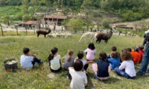 A scuola nel bosco: le lezioni nell'agriparco a Sarezzano