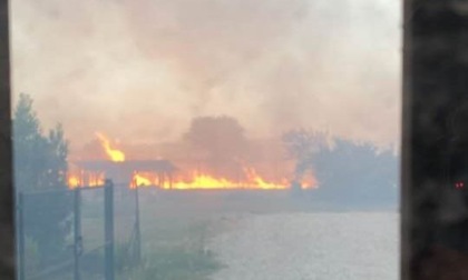 Incendio a Novi Ligure: fiamme spente dopo 4 ore, al fuoco sterpaglie e colture agricole