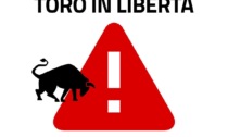 Torino: toro sfugge dal centro veterinario, vietato l'accesso al parco della Dora