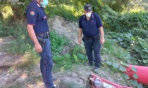 Preleva acqua dal Po senza autorizzazioni, multata azienda agricola nel Torinese