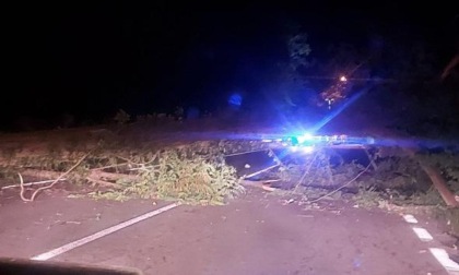 Pino Torinese, uomo 56enne muore per caduta di albero sul suo taxi