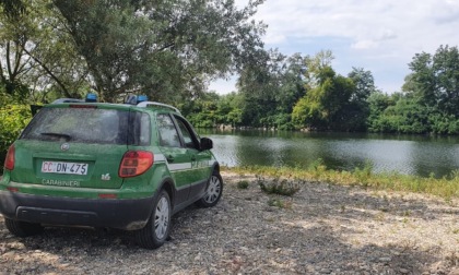 Prelevava abusivamente acqua dal fiume Sesia: sanzionato dai Carabinieri Forestali