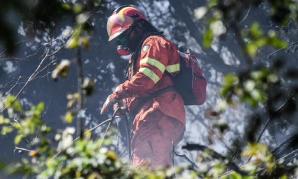 Val Graveglia, tanti focolai. Vvf Genova ipotizza origine dolosa