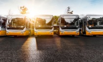 Autobus, Continental: "In Piemonte immatricolazioni in calo, Alessandria -15,4% in un anno"