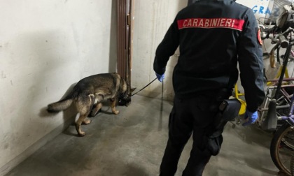 Torino: 3 arresti per spaccio ed estorsione