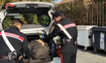 Torino, Carabinieri arrestano corriere della droga, sequestrati 138 kg di hashish