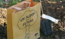 "Un albero per il futuro": il progetto dei Carabinieri Forestali per promuovere la tutela ambientale