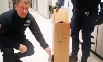 Valenza, polizia locale recupera il basamento di un candelabro rubato a Frugarolo