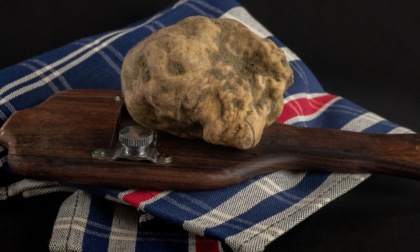 Il tartufo bianco del Gran Monferrato alla scuola internazionale di cucina Paul Bocuse a Lione