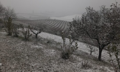 Neve in provincia di Alessandria: i primi problemi alla viabilità nell'Ovadese