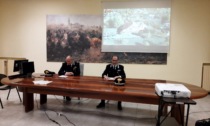 Acqui Terme, sequestrate dai Carabinieri 1.200 piante di marijuana