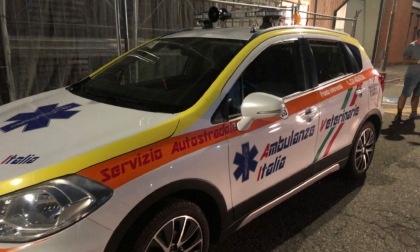 Ad Alessandria arriva l'ambulanza veterinaria: il servizio partirà dalla prossima primavera