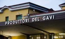 <strong>Bottiglie solidali: la Cantina Produttori del Gavi in favore della Fondazione Uspidalet</strong>