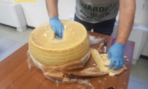 Nascondevano la cocaina anche nelle forme di formaggio: depositi anche ad Alessandria