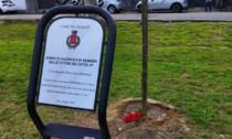 Sale: una quercia e una targa in memoria delle vittime del Covid
