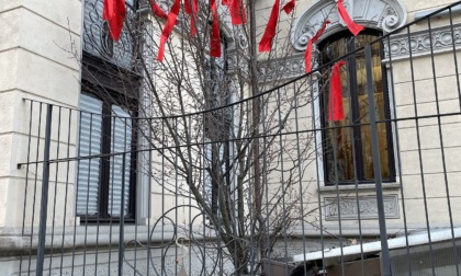 Torino, l'Ordine dei Medici di Torino espone un albero senza vita con i nomi delle vittime