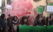 Alessandria, i Fridays For Future di nuovo in piazza per l'ambiente