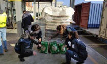 Gdf Genova, sequestrate oltre 300 tonnellate di pellet abusivo