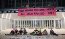 Torino, gli ambientalisti scaricano letame davanti alla Regione Piemonte