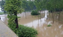 Maltempo, piogge in tutto il Piemonte: esondato il Po nel Cuneese