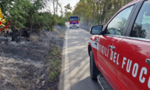 Incendio nella campagne di Novi Ligure: sul posto tre squadre dei Vigili del Fuoco