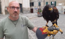 La lotta non cruenta del comune di Ovada contro i piccioni del centro storico
