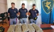 Genova: la Polizia scopre scarico di stupefacenti su un furgone in viaggio sull'A10