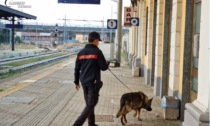 Casale Monferrato, trovati in una scuola 5 involucri contenenti cocaina