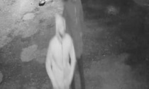Tentato furto in un negozio di Ovada: ladri ripresi della telecamere mentre tentano di entrare