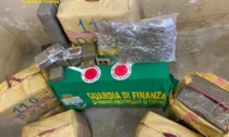 GDF Torino, operazione "ceraste": 13 arresti per traffico di stupefacenti e 800 kg di droga sequestrati