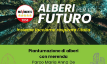 Alessandria: domenica 26 l'iniziativa del M5S "Alberi per il futuro"