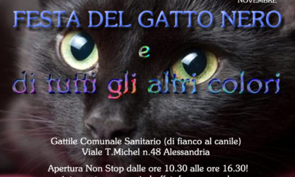 Sabato 18 novembre, al Gattile Comunale di Alessandria, la "Festa del Gatto Nero"