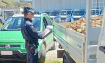 Casale, Carabinieri Forestali multano 2 aziende per trasporto irregolare di rifiuti
