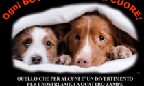 Alessandria: la campagna contro l'utilizzo di botti in difesa degli animali