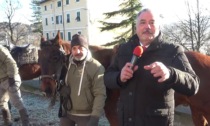 3' con... La festa di S.Antonio a Casaleggio Boiro con la benedizione degli animali