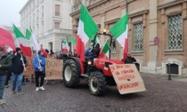 Mirafiori, agricoltori, ex Ilva: ore di mobilitazione per chiedere "dignità del lavoro"