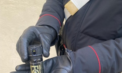 Scoperto mentre tenta di truffare un’anziana, aggredisce i Carabinieri con lo spray urticante: arrestato nel torinese