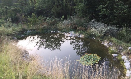 A Borghetto Borbera arriva il “Il Giardino Sonoro. Armonia di Natura”