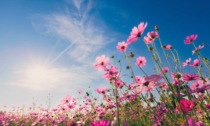 Arriva la primavera in Piemonte, temperature in aumento fino ai 20 gradi