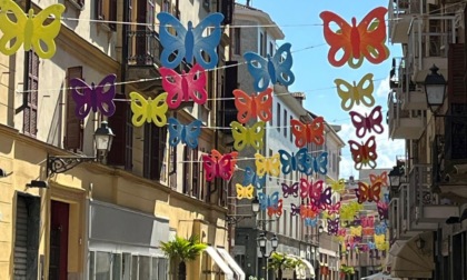 Alessandria si riempie di farfalle colorate: il 20 aprile animazione e "Sbarazzo di Primavera"