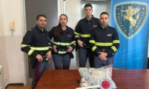Genova, arrestate due persone con otto chili di cocaina in ruota di scorta