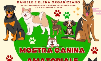 Il 12 luglio a Silvano d'Orba la mostra canina amatoriale "In ricordo di Jeda e Rufus"